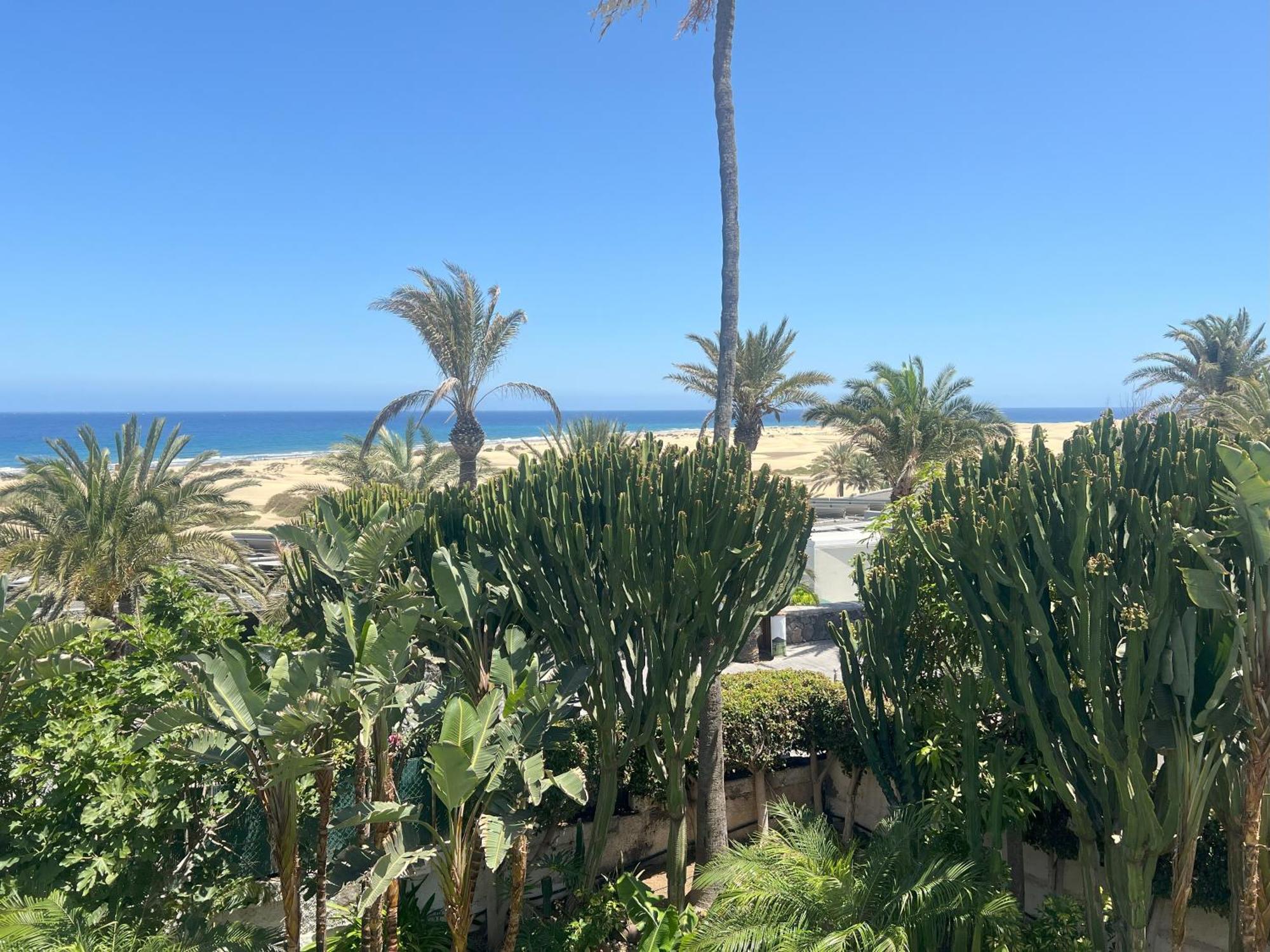 פלאייה דל אינגלז Apartment Hotel Taboga (Adults Only) מראה חיצוני תמונה